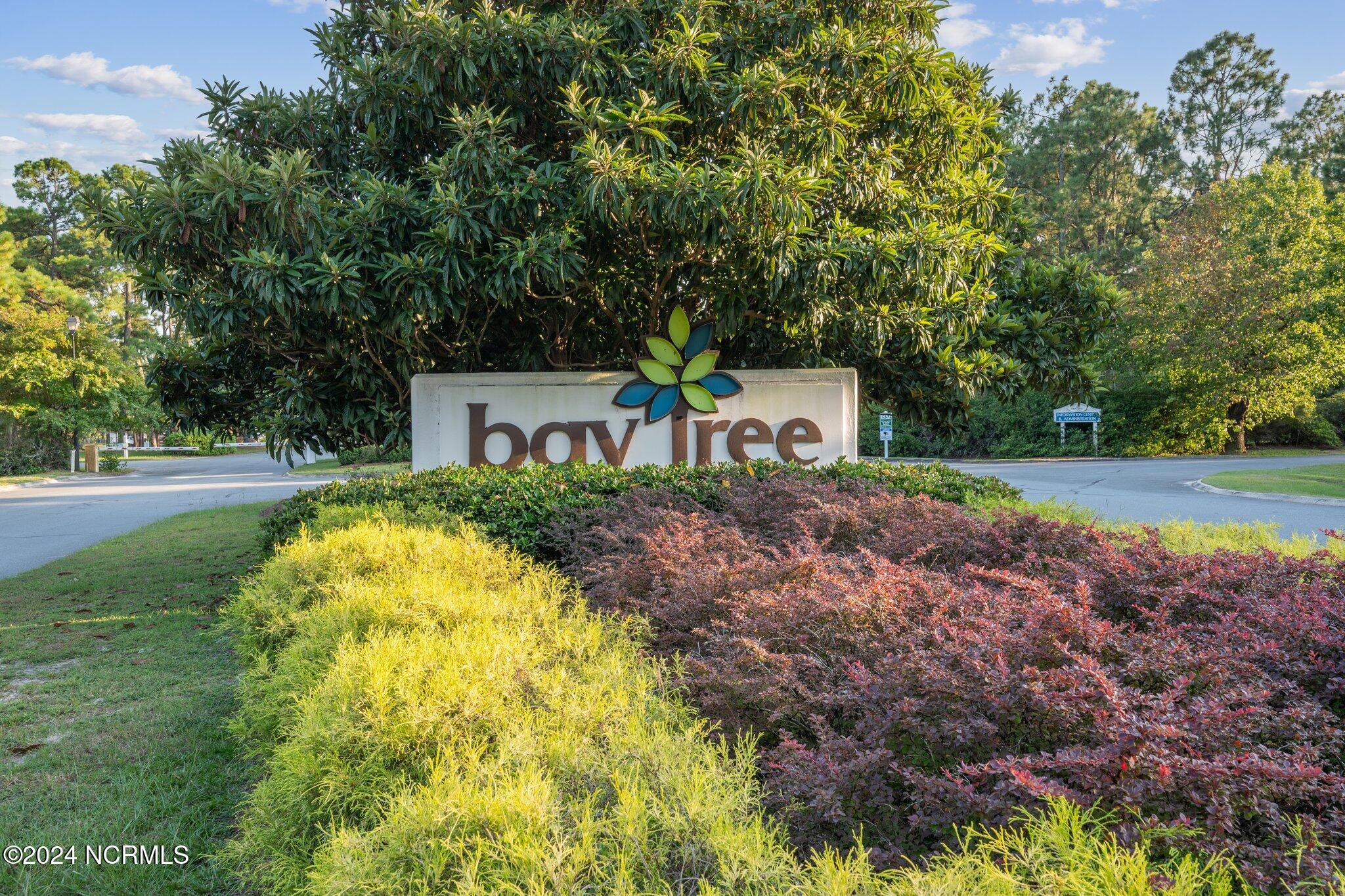 57 Kildee Drive Harrells, NC 28444 - Photo 36 of 68 11-web-or-mls-57-kildee-dr