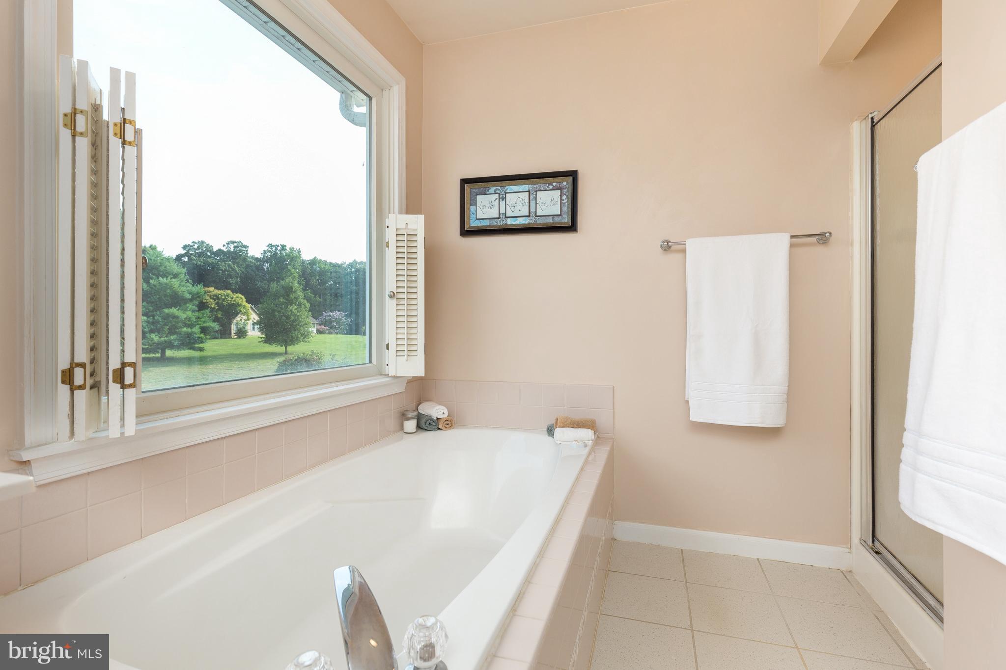 13586 Granview Road King George, VA 22485 - Photo 11 of 30 Bath (Master)
