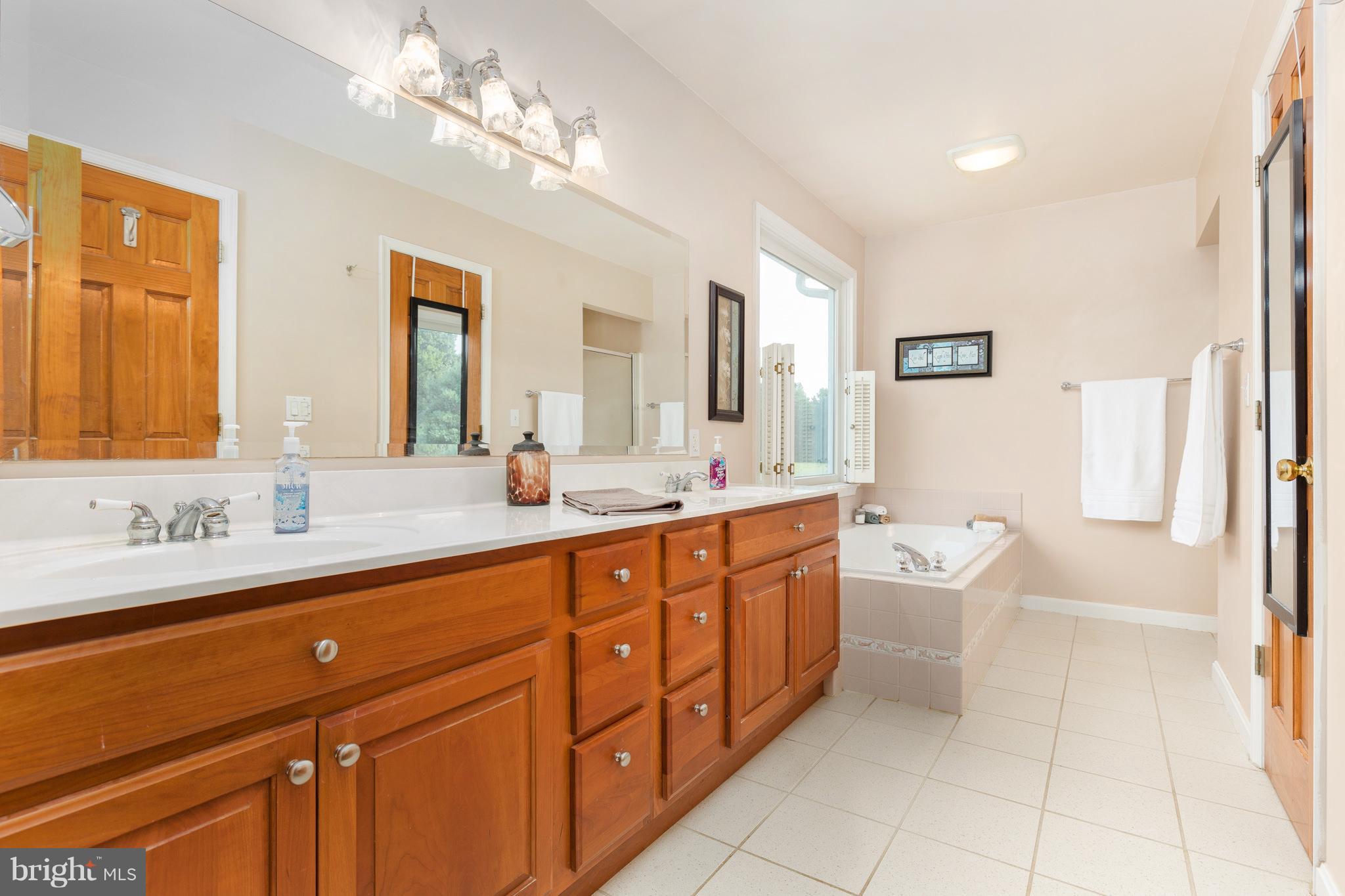 13586 Granview Road King George, VA 22485 - Photo 10 of 30 Bath (Master)