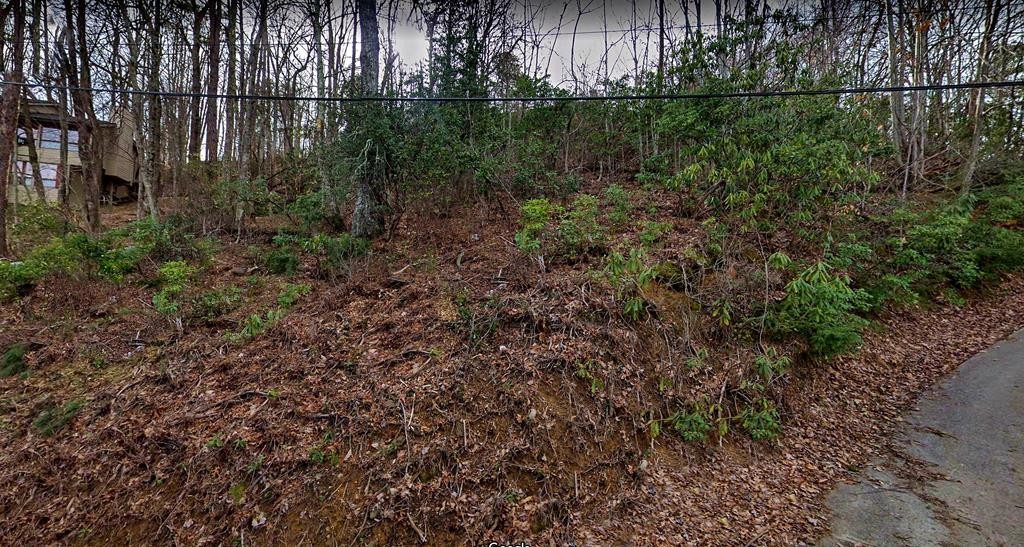 17 Zurich Road Gatlinburg, TN 37738 - Photo 20 of 24