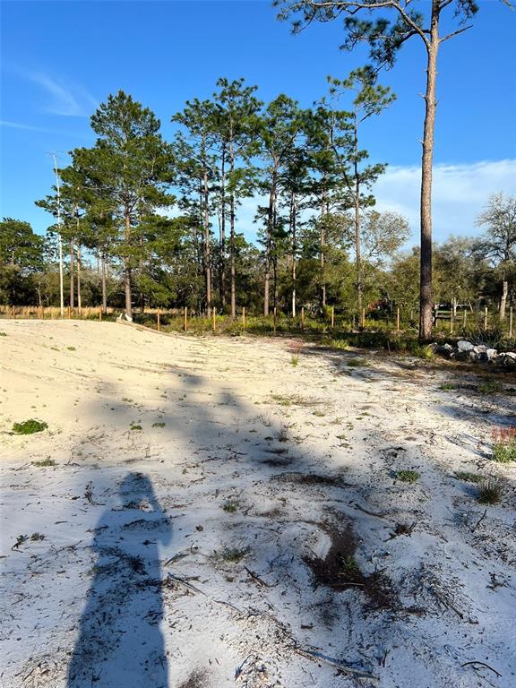 8342 Southwest 152nd Place Dunnellon, FL 34432 - Photo 84 of 96 a view of a yard with a tree