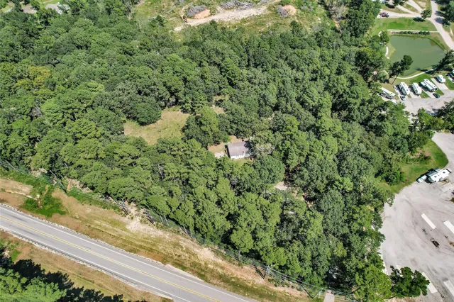 a view of a garden with a plant