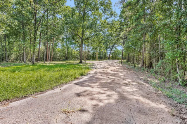 a view of a park with trees in the background