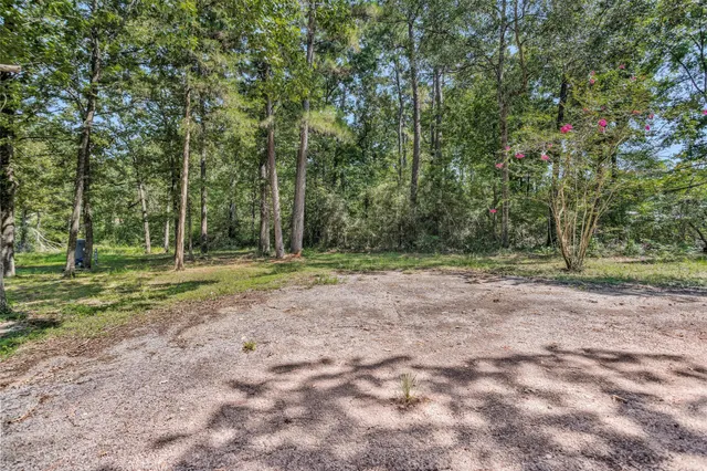 a view of a tree in the middle of a yard