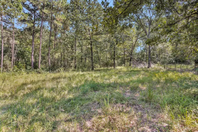 a view of outdoor space and a yard