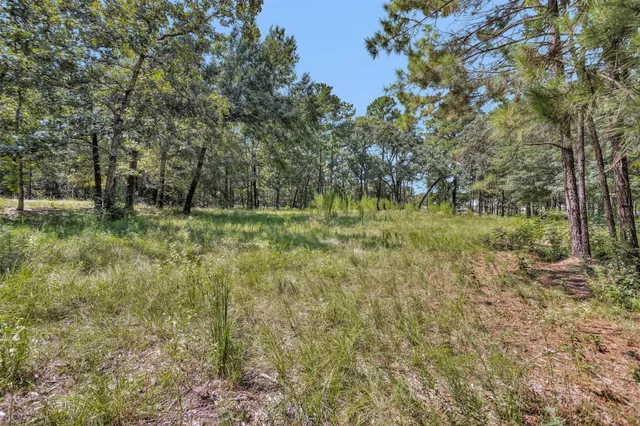 a big yard with lots of green space and deers