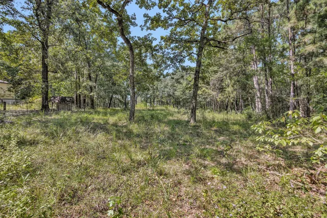 a big yard with lots of green space and deers