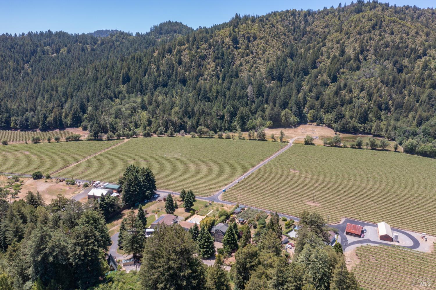 16548 Laughlin Road Guerneville, CA 95446 - Photo 82 of 99