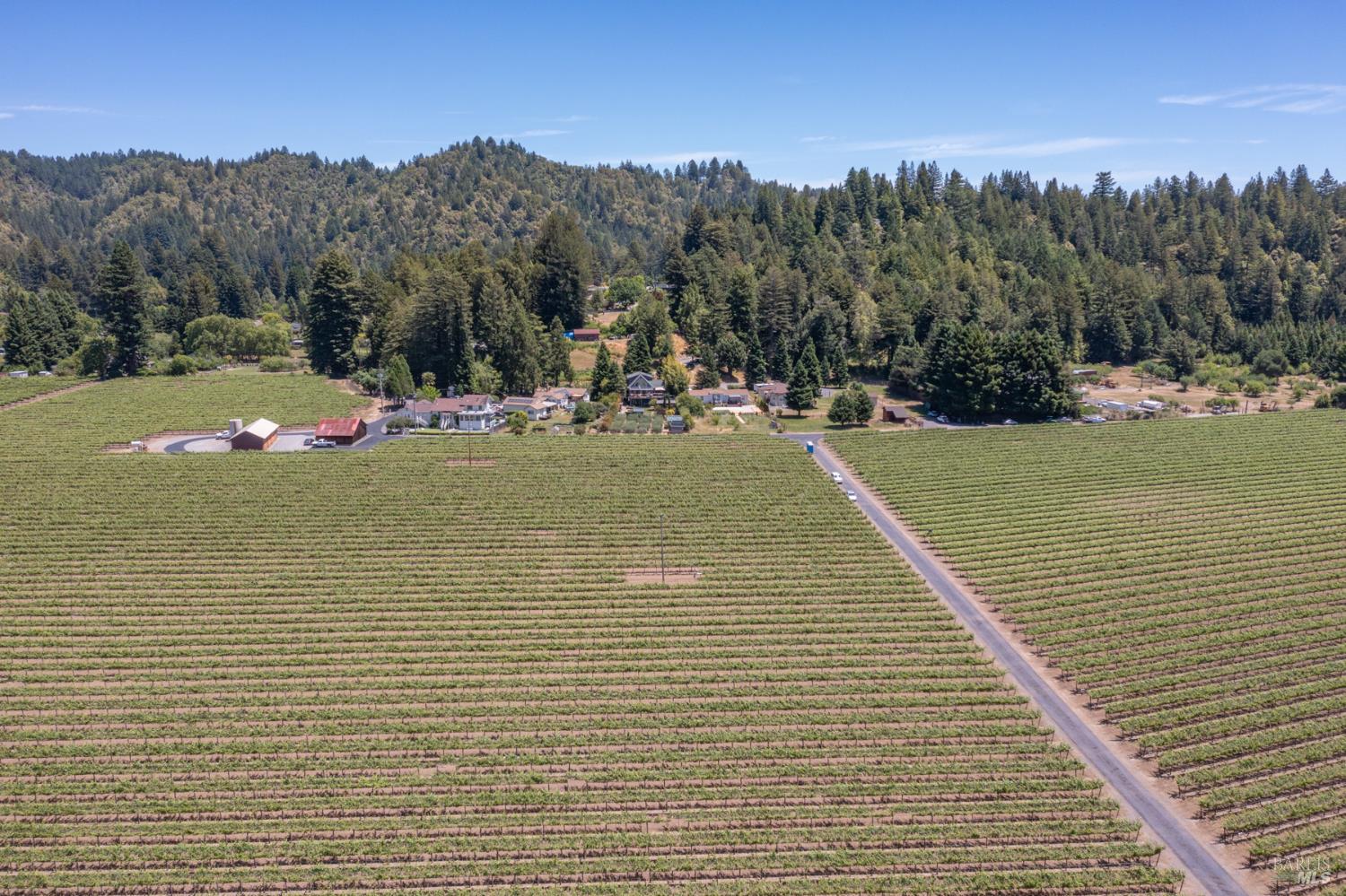 16548 Laughlin Road Guerneville, CA 95446 - Photo 92 of 99