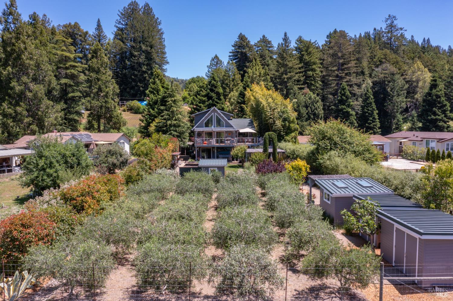 16548 Laughlin Road Guerneville, CA 95446 - Photo 94 of 99