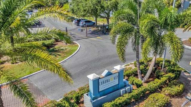 a view of a garden with plants
