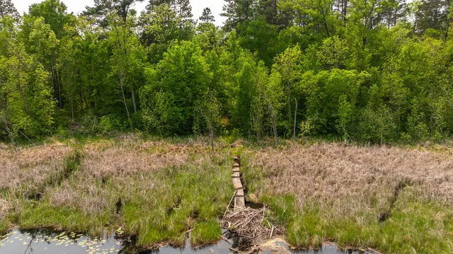 $264,900 | 21341 County 50, Park Rapids, MN 56470