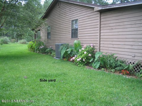 Side View