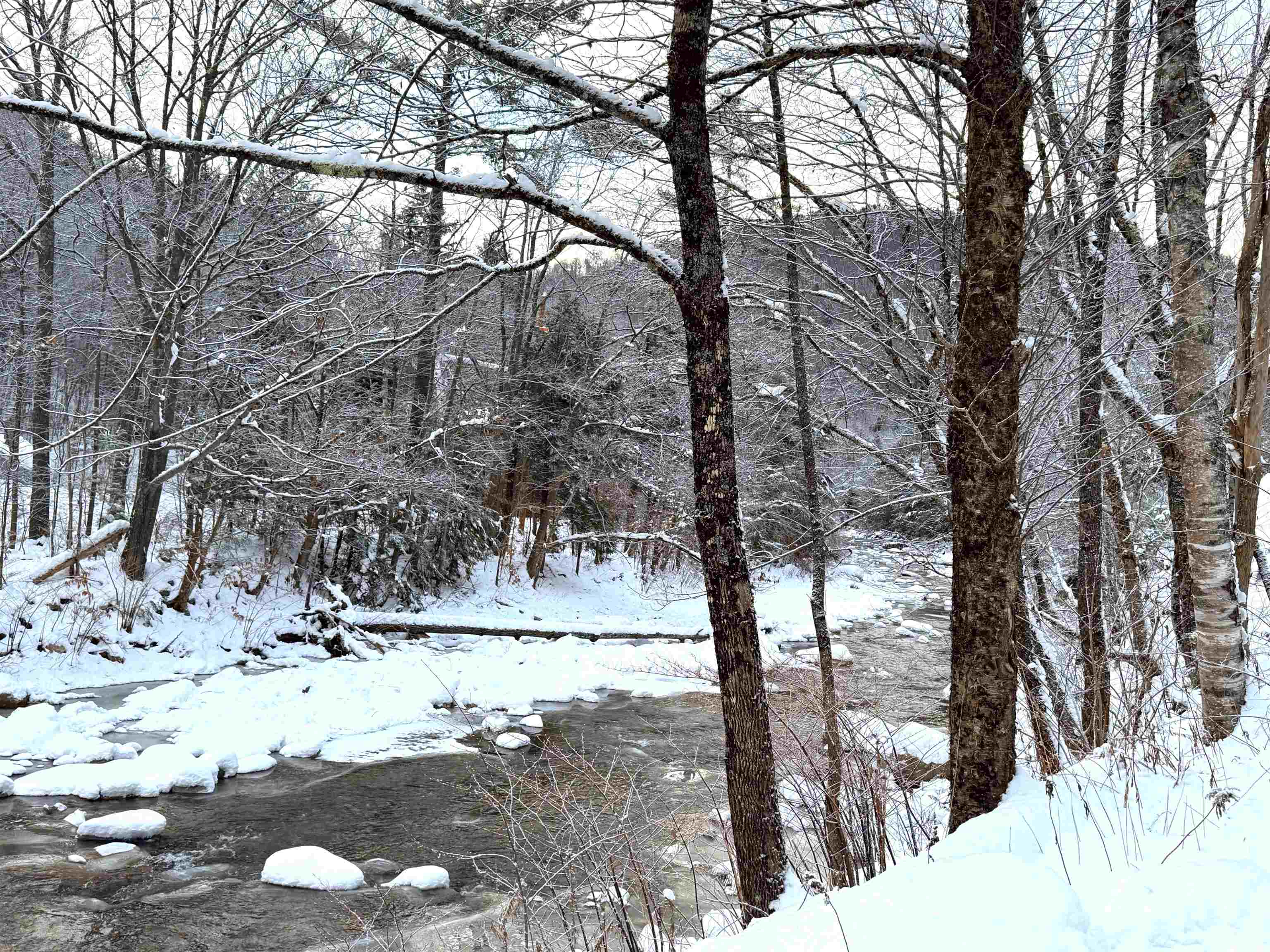 194 Black Piece Road Wardsboro, VT 05355 - Photo 2 of 21 Gallery Image 2