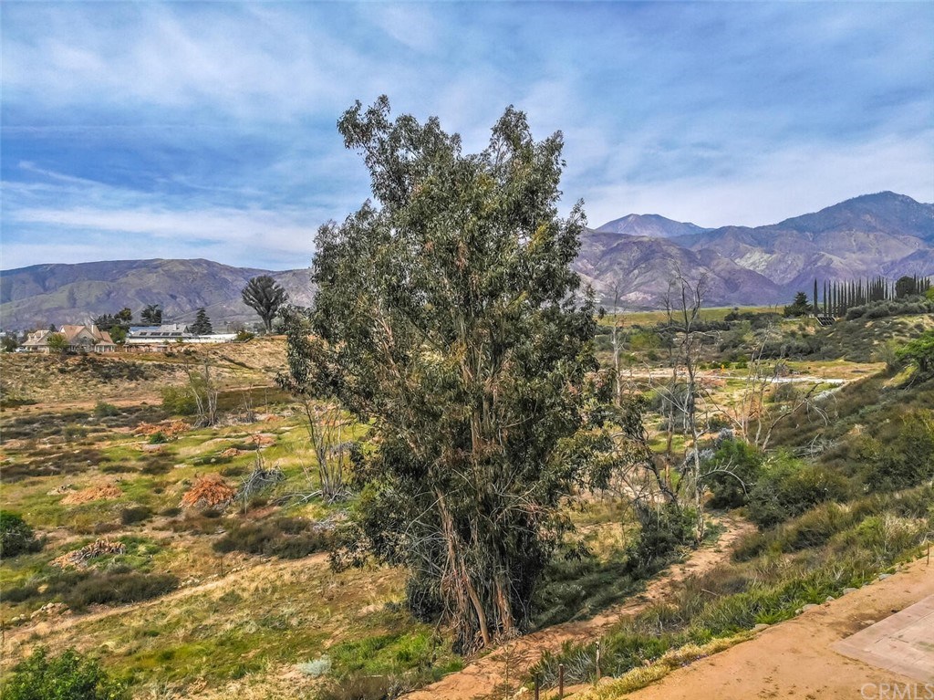 11492 Pendleton Road Yucaipa, CA 92399 - Photo 54 of 66