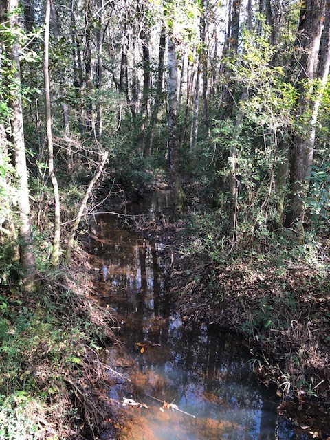 0 Highway 52 Slocomb, AL 36375 - Photo 9 of 12
