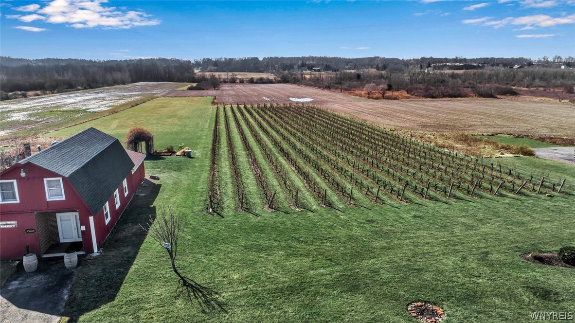 4794 Lower Mountain Road Cambria, NY 14094 - Photo 25 of 25