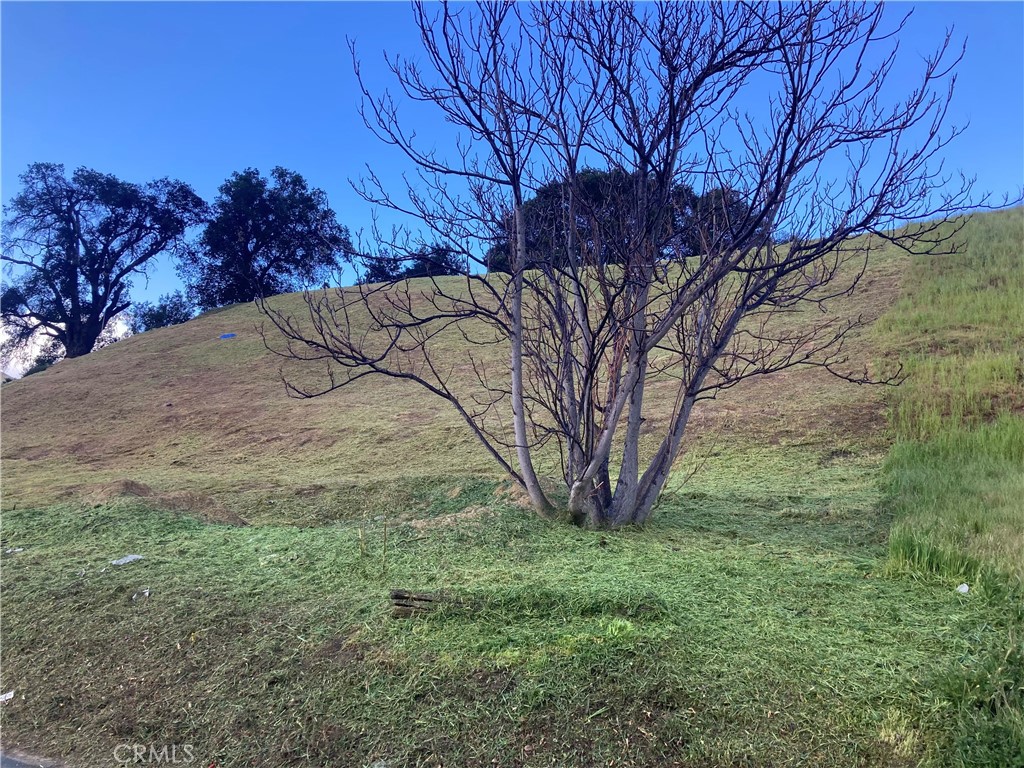 14 Driver Avenue Val Verde, CA 91384 - Photo 5 of 14 a backyard of a house with lots of green space