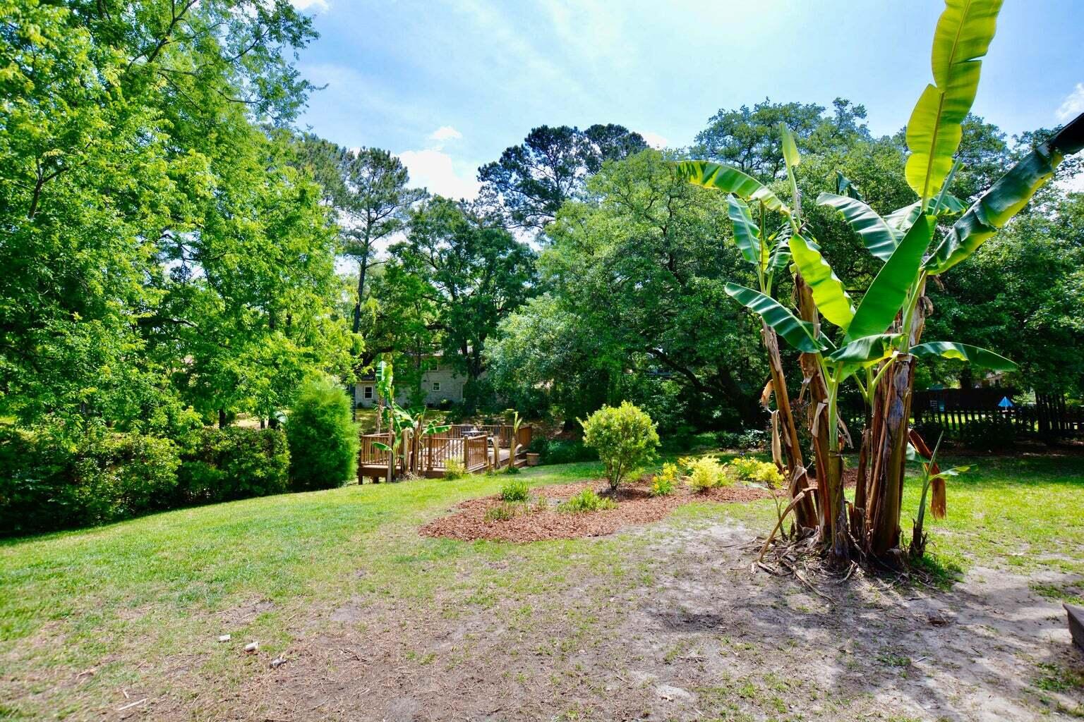 2920 Limestone Boulevard Charleston, SC 29414 - Photo 21 of 32 20220517180905131137000000-o
