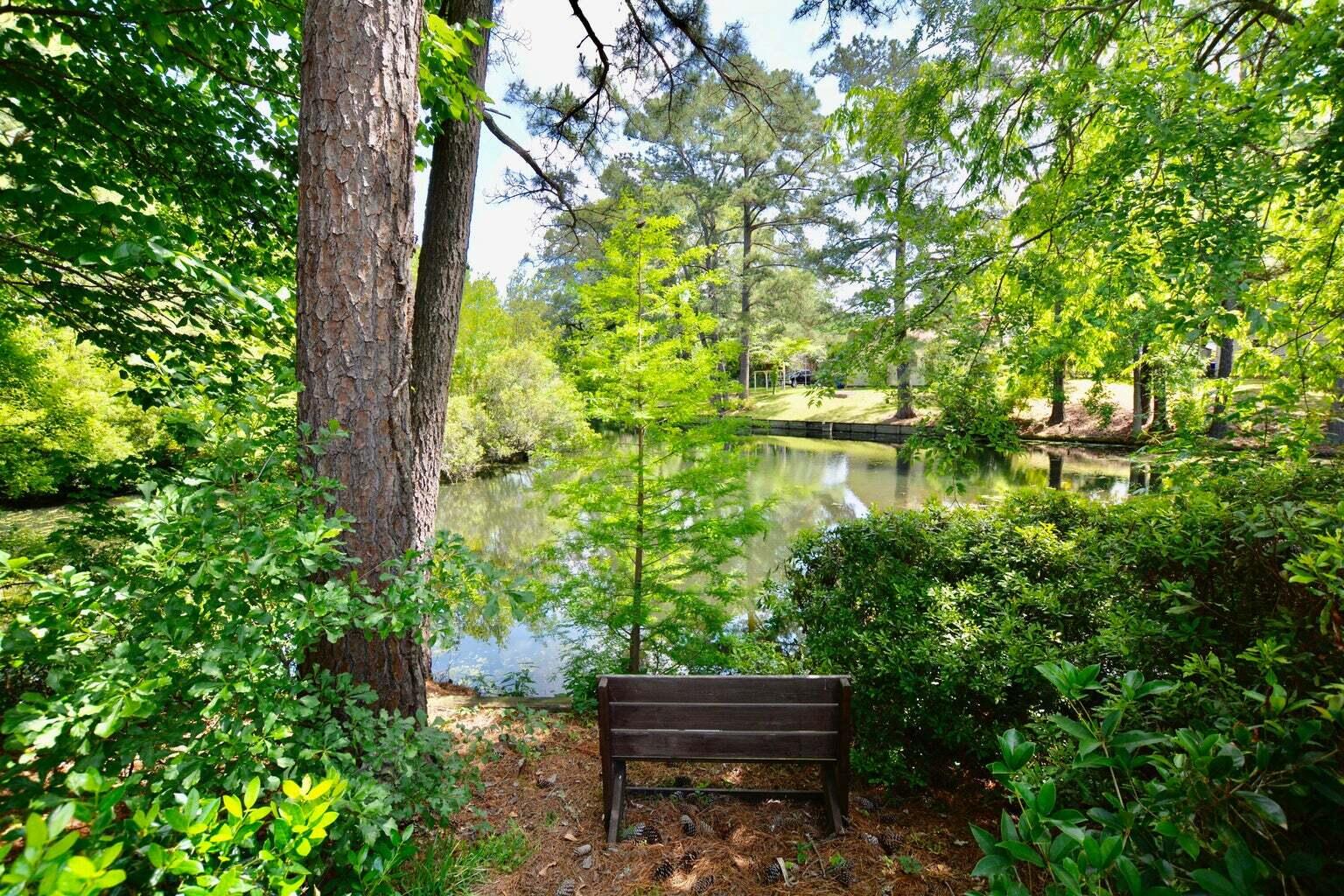 2920 Limestone Boulevard Charleston, SC 29414 - Photo 23 of 32 20220517180814431209000000-o