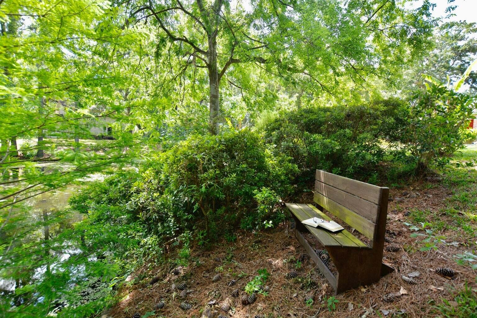 2920 Limestone Boulevard Charleston, SC 29414 - Photo 24 of 32 20220517180826795982000000-o