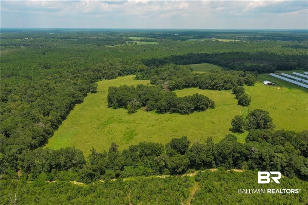 0 Circle R Farm Drive Florala, AL 36442 - Photo 10 of 25