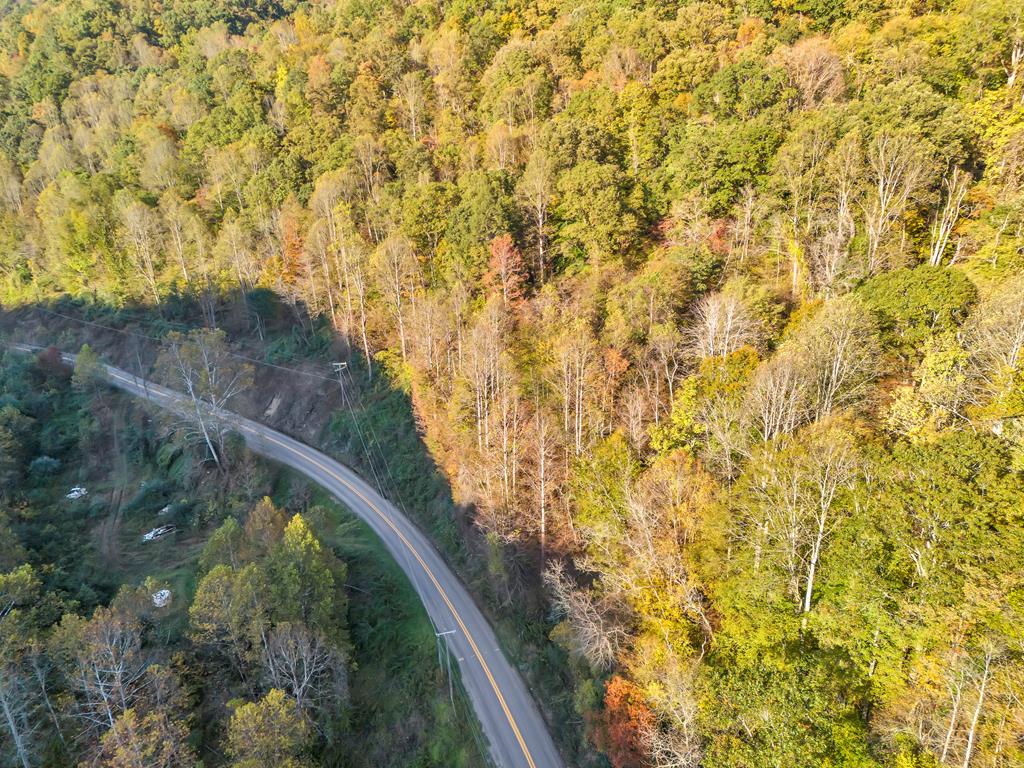 0 Cherokee Road Northfork, WV 24868 - Photo 24 of 27 Gallery Image 24