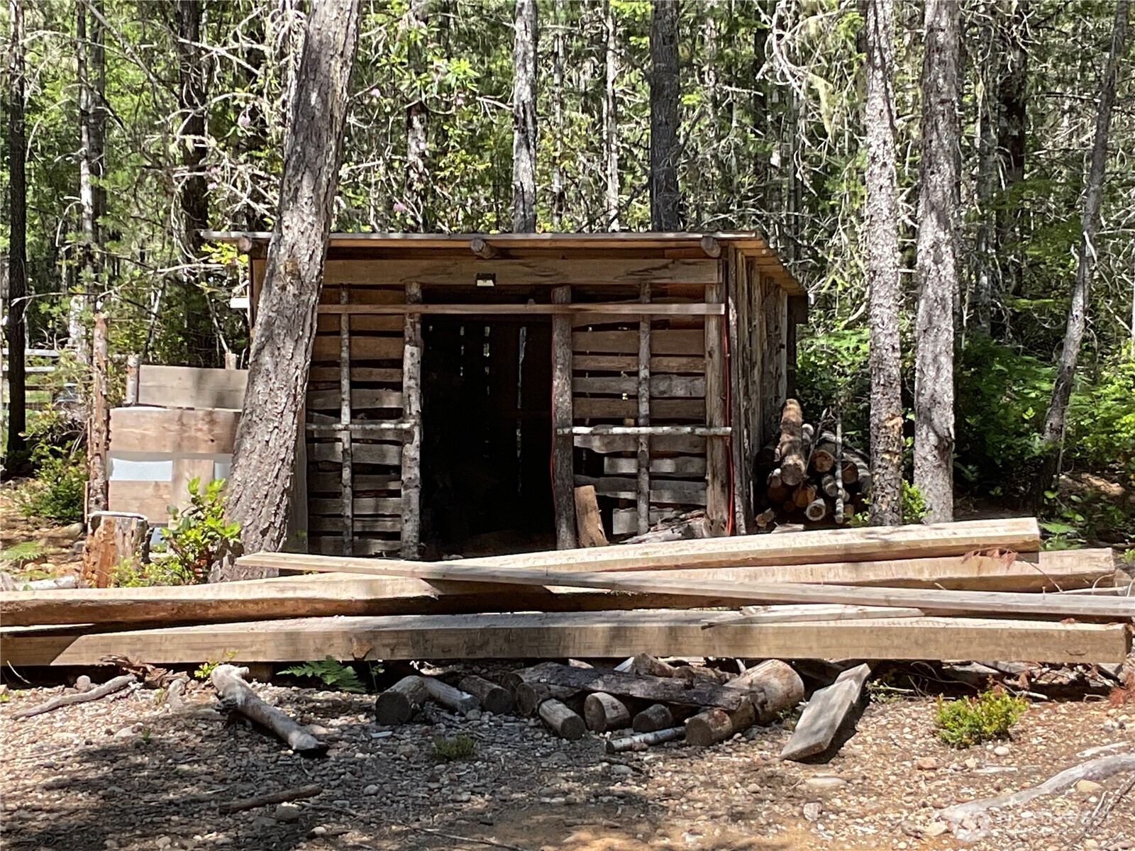 5 Northeast Shoe Lake Road Tahuya, WA 98588 - Photo 7 of 24