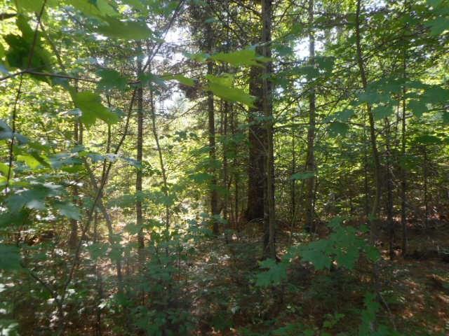 Map 4-lot Medford Center Road Medford, ME 04463 - Photo 3 of 26 Photo