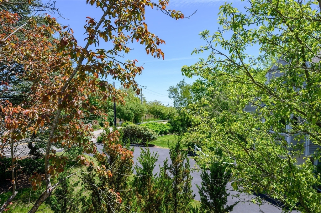 21 Hatherly Road, Unit 21 Scituate, MA 02066 - Photo 38 of 38 a view of a tree with a tree