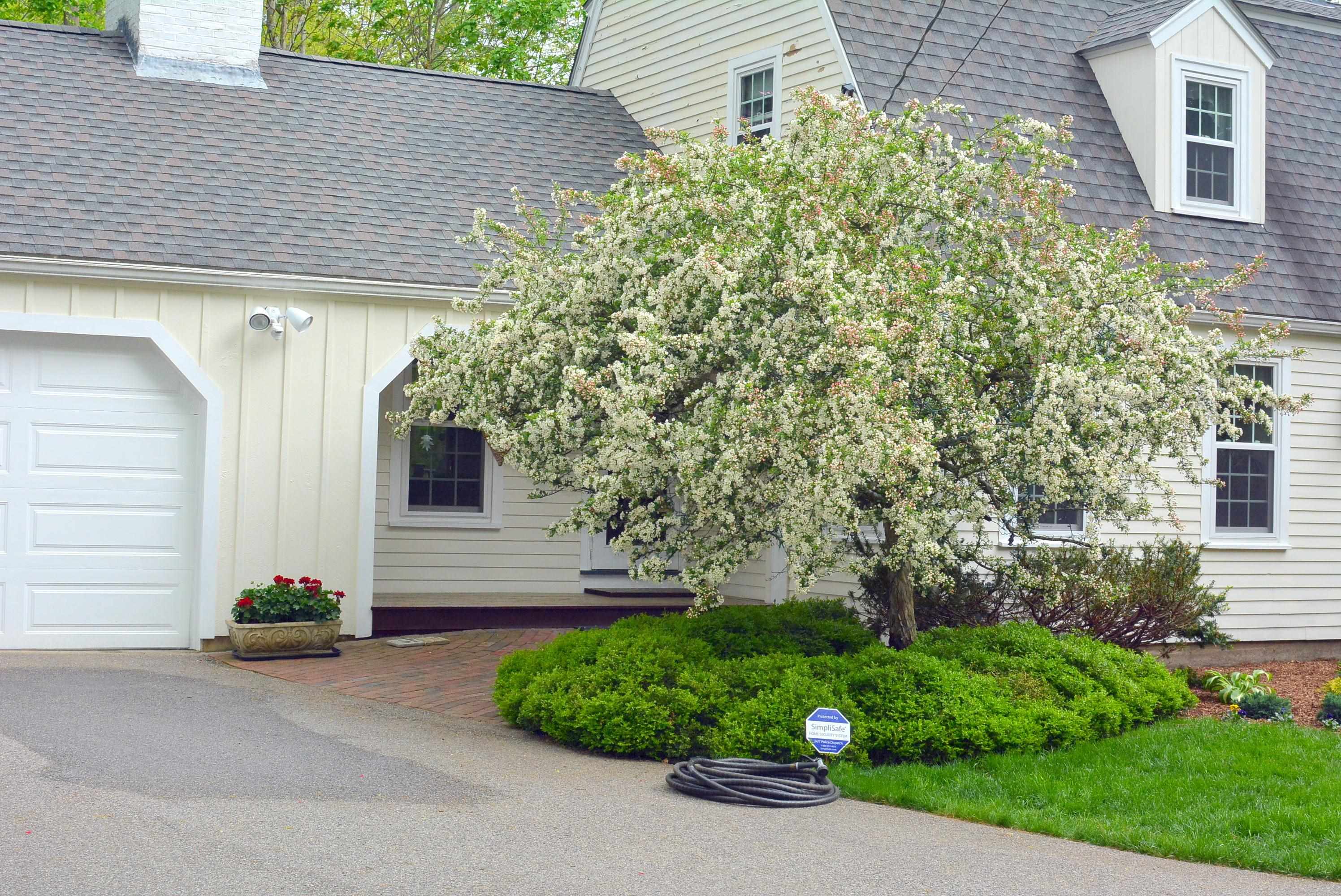 81 Little River Road Hampton, NH 03842 - Photo 4 of 42