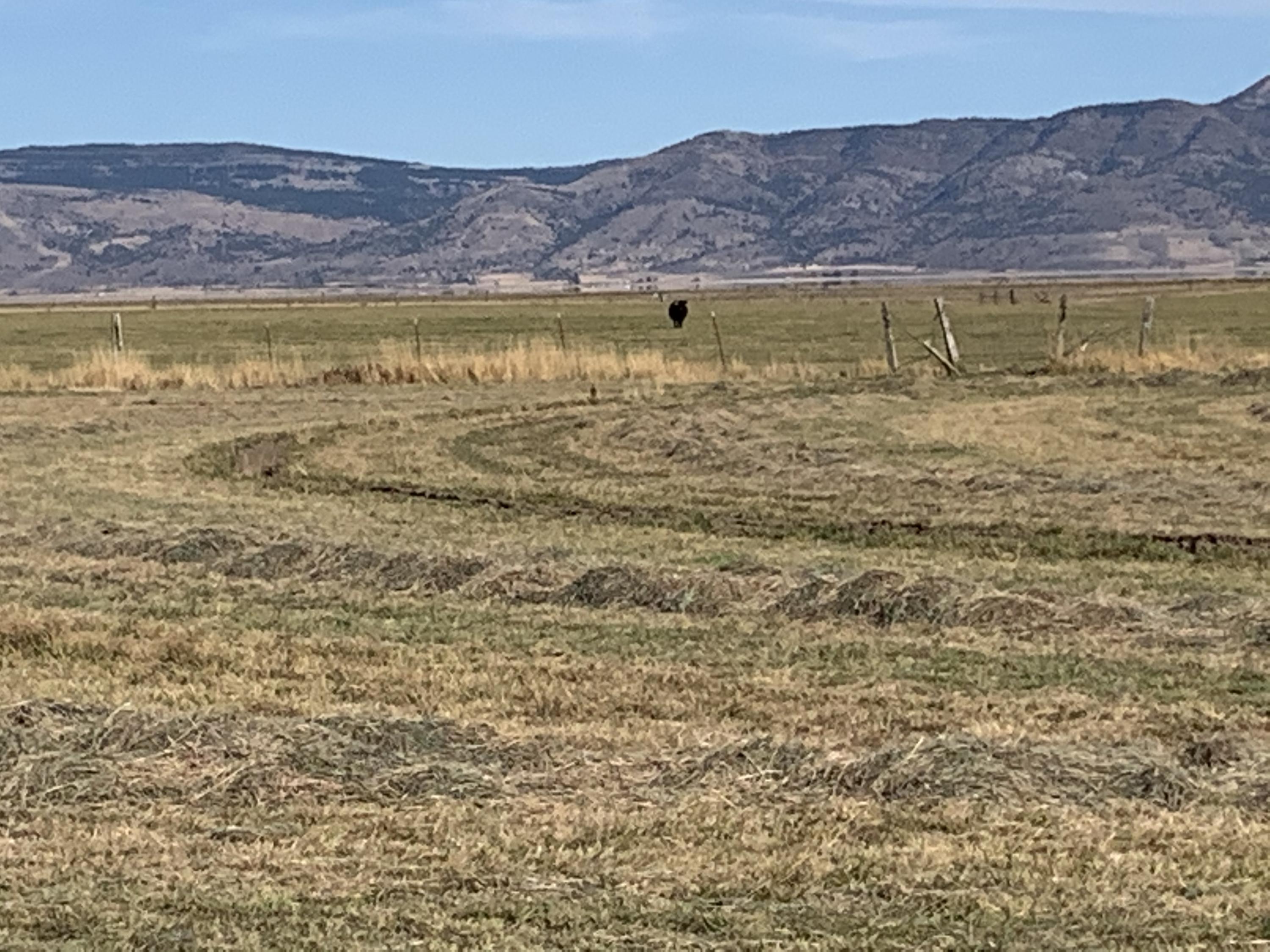 12485 West Side Road Lakeview, OR 97630 - Photo 25 of 48 windrows of fall feed