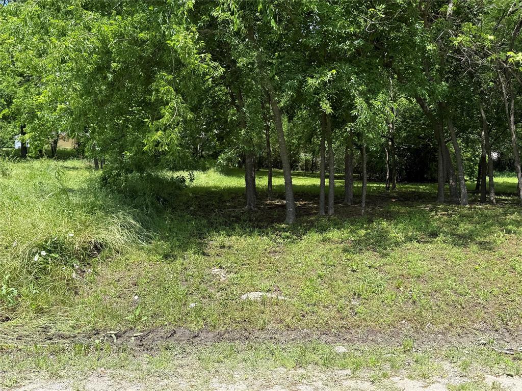 602 West 3rd Street Bonham, TX 75418 - Photo 2 of 2 a backyard of a house with lots of green space