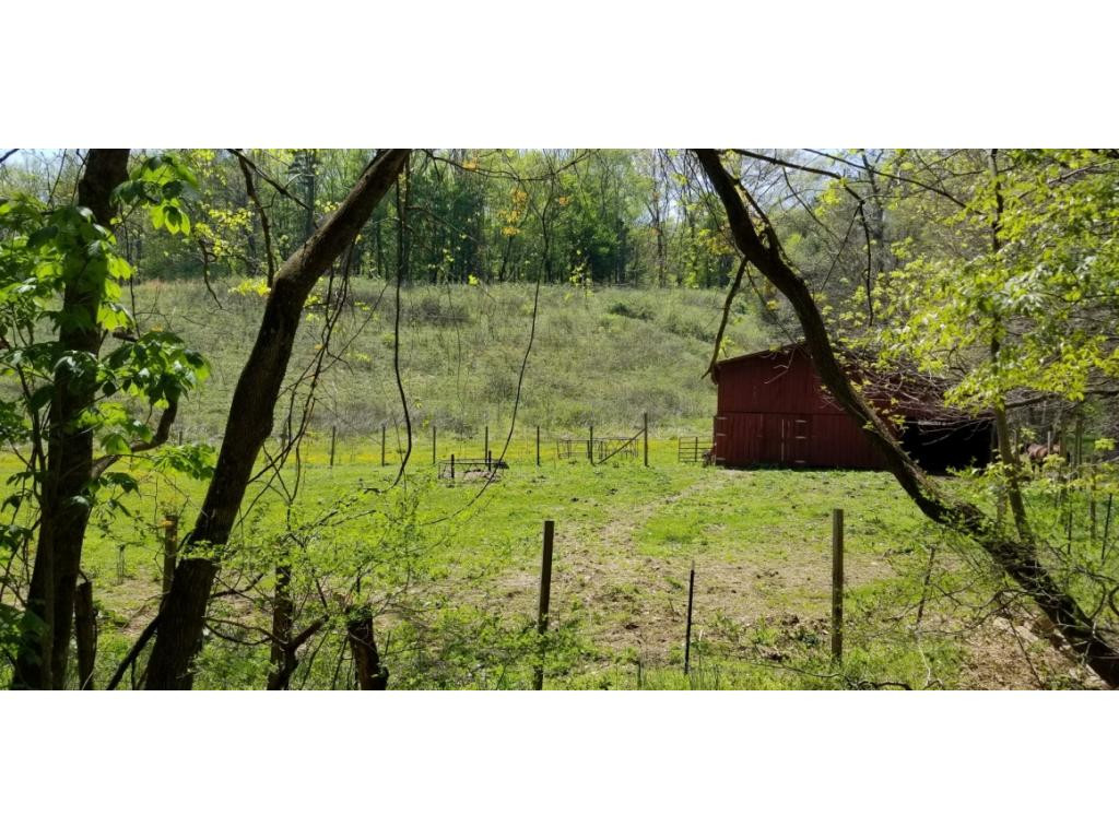 0 Powder Hollow Road Unicoi, TN 37692 - Photo 3 of 12 Photo 3