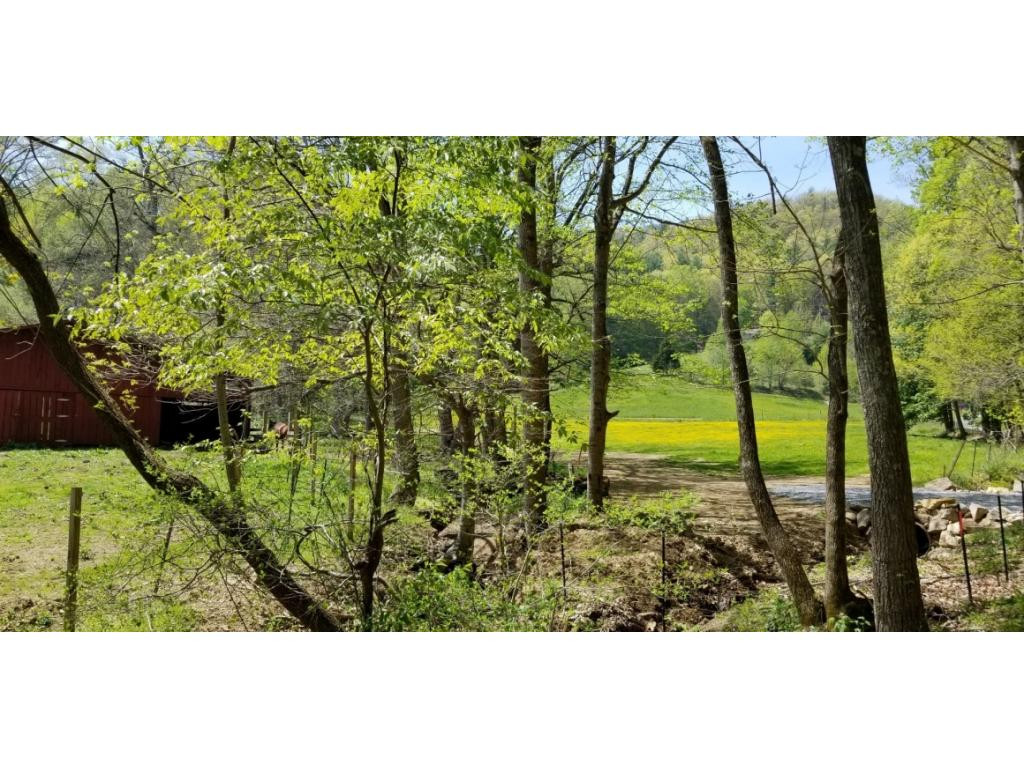 0 Powder Hollow Road Unicoi, TN 37692 - Photo 4 of 12 Photo 4