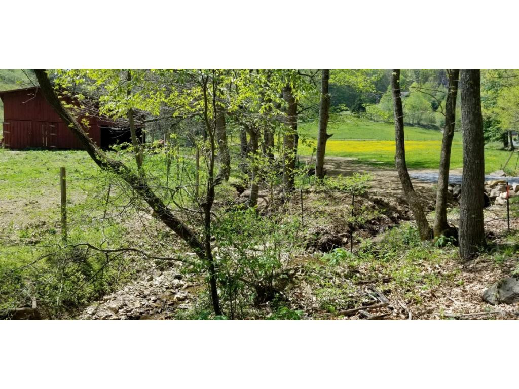 0 Powder Hollow Road Unicoi, TN 37692 - Photo 5 of 12 Photo 5