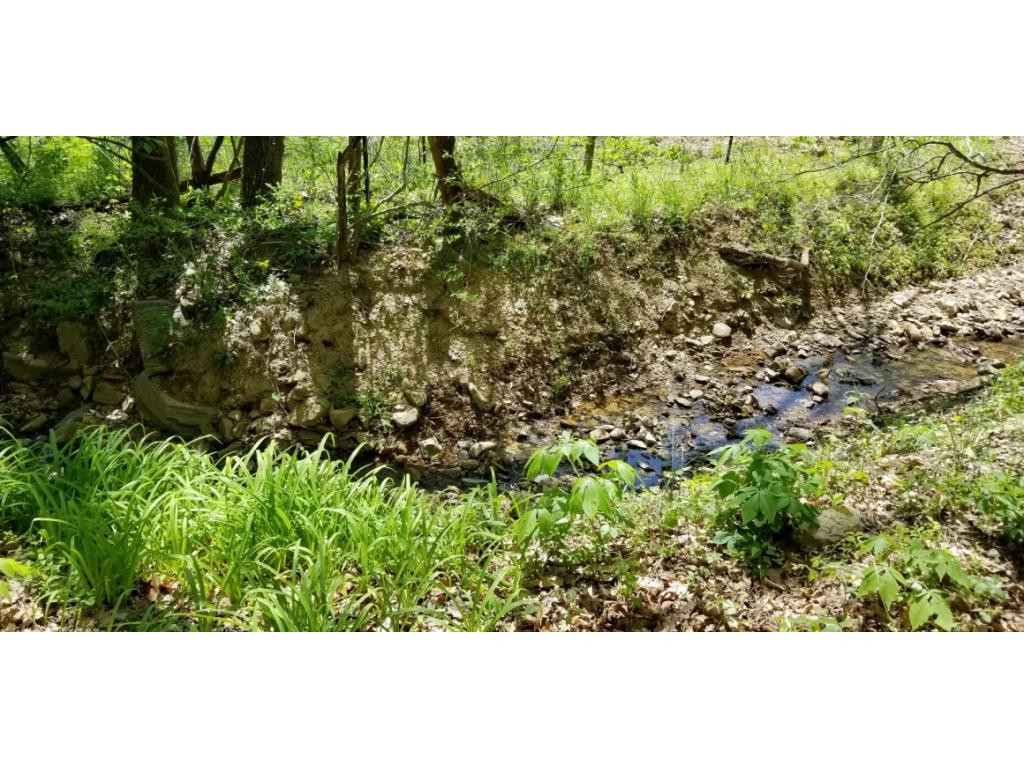 0 Powder Hollow Road Unicoi, TN 37692 - Photo 6 of 12 Photo 6