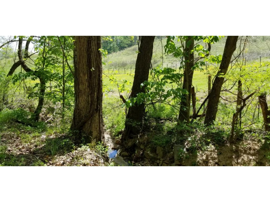 0 Powder Hollow Road Unicoi, TN 37692 - Photo 7 of 12 Photo 7