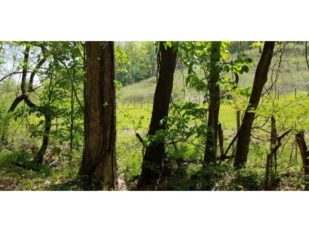 0 Powder Hollow Road Unicoi, TN 37692 - Photo 8 of 12 Photo 8