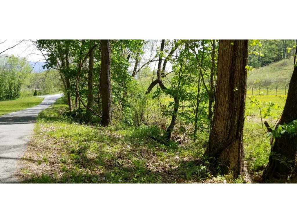 0 Powder Hollow Road Unicoi, TN 37692 - Photo 9 of 12 Photo 9