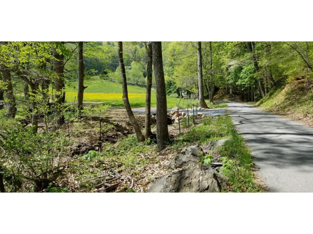 0 Powder Hollow Road Unicoi, TN 37692 - Photo 10 of 12 Photo 10