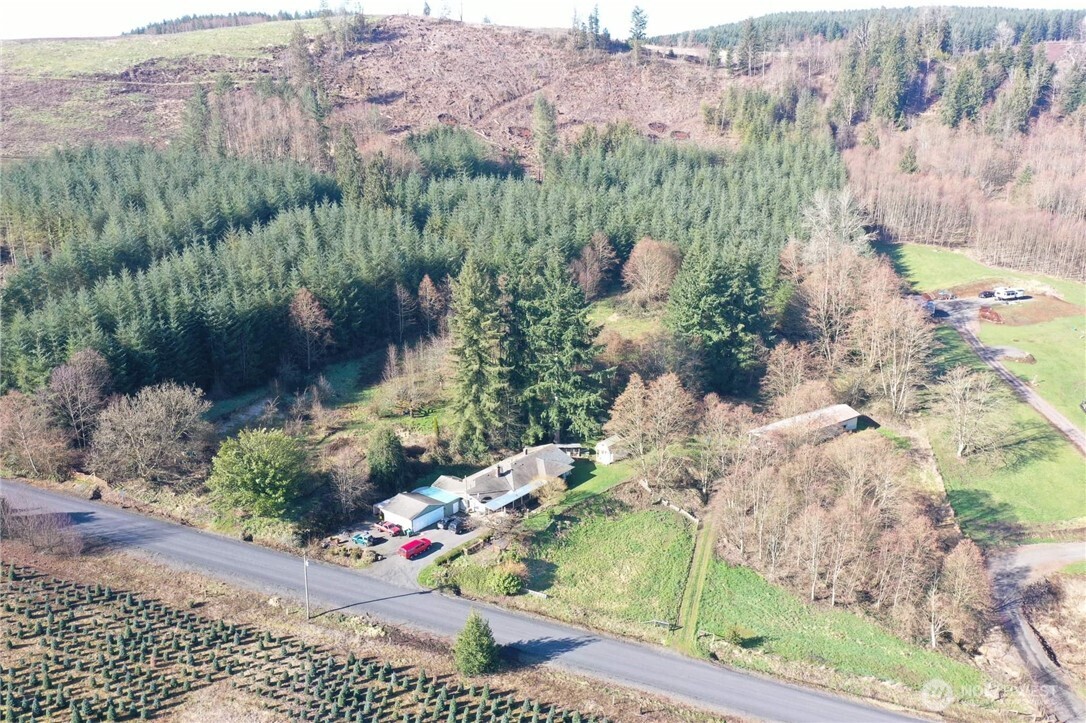 278 Wilson Road Mossyrock, WA 98564 - Photo 3 of 33 a view of a yard with an umbrella
