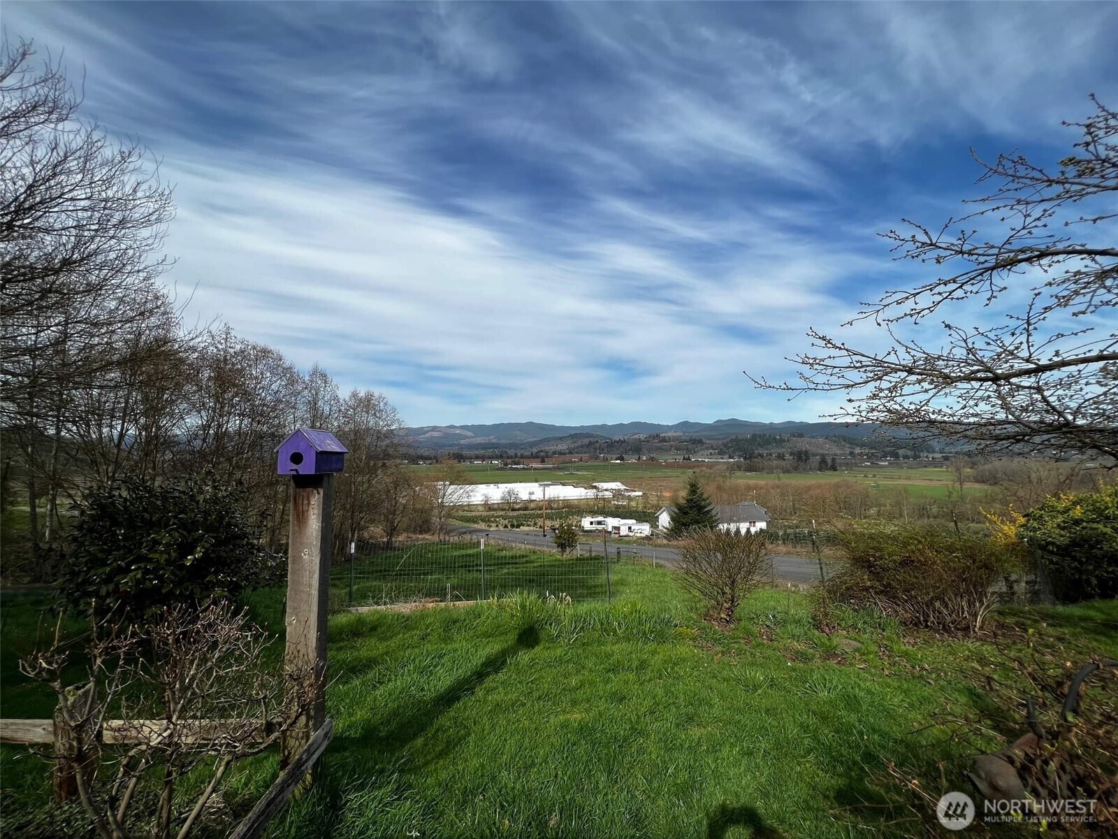 278 Wilson Road Mossyrock, WA 98564 - Photo 33 of 33 a view of a lake from a yard