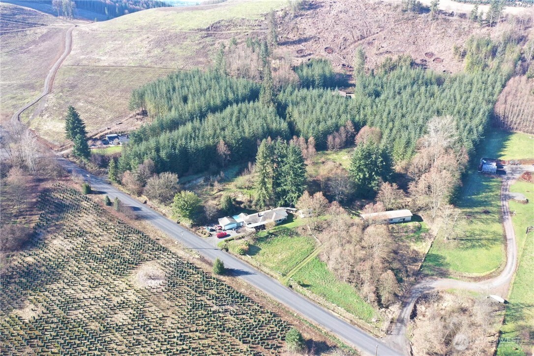 278 Wilson Road Mossyrock, WA 98564 - Photo 6 of 33 a view of a garden with flowers