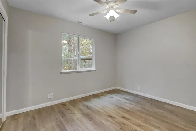 a view of a park with large trees