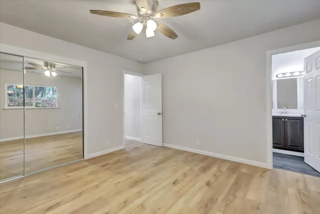 a view of a big yard with plants and large trees