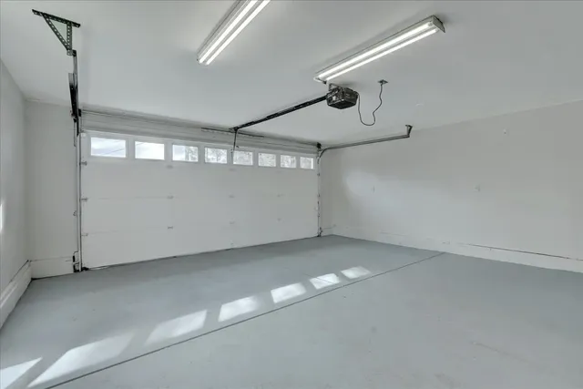 a view of a big yard with plants and large trees