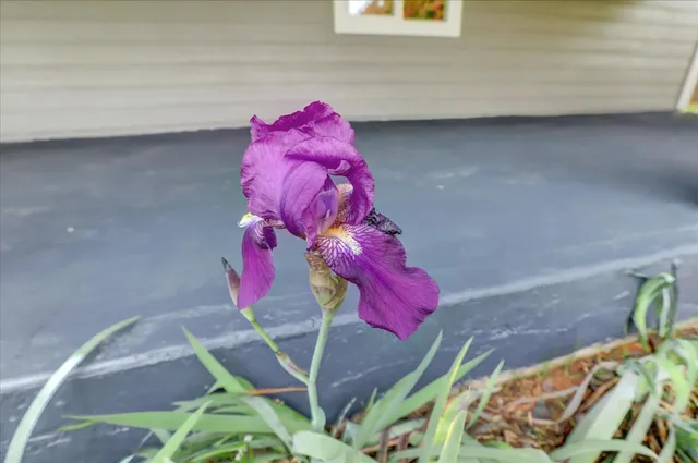 a view of a city with mountains in the background