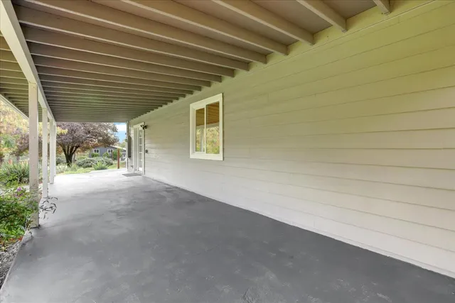 a view of a lush green forest with lots of plants