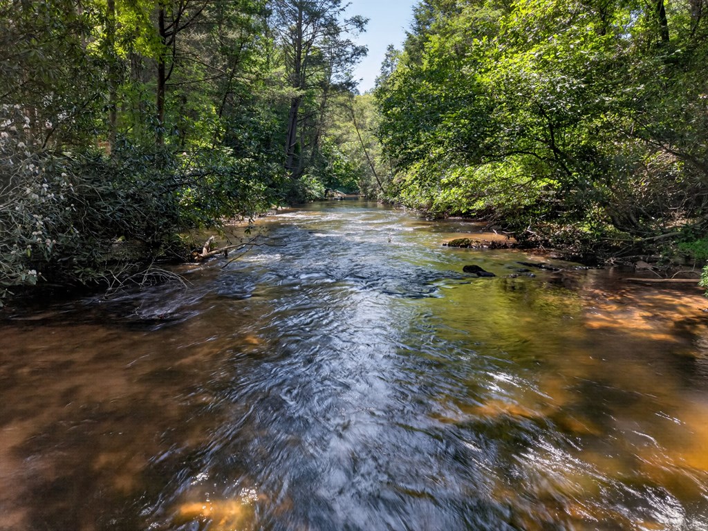 357 Hemlock Trail Blue Ridge, GA 30513 - Photo 2 of 24